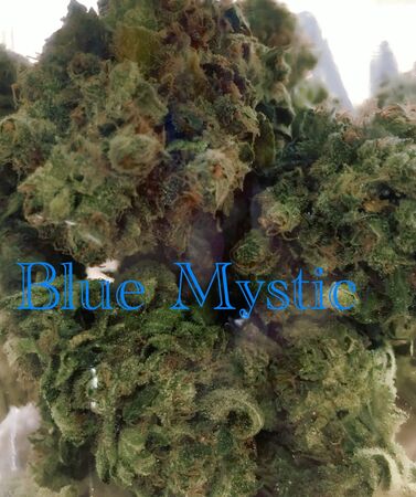 Blue Mystic Bud