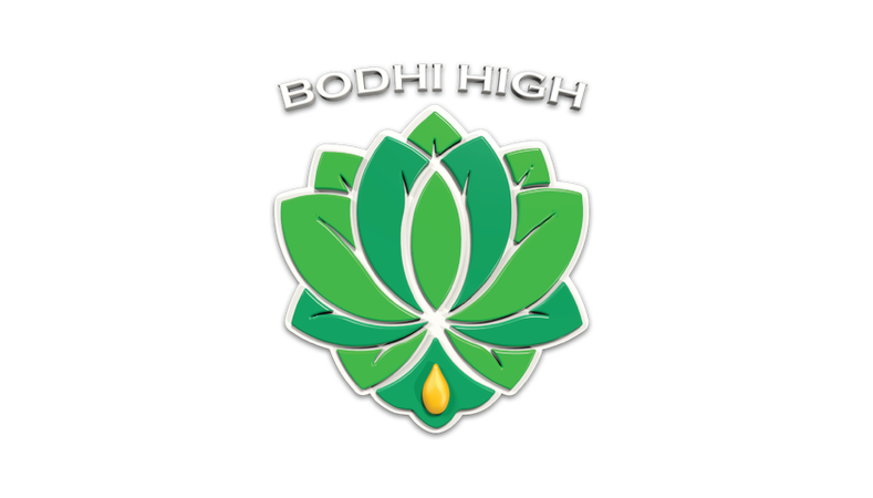 Bhodi High Logo