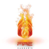Fire Logo